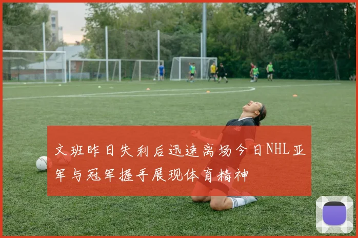 文班昨日失利后迅速离场今日NHL亚军与冠军握手展现体育精神