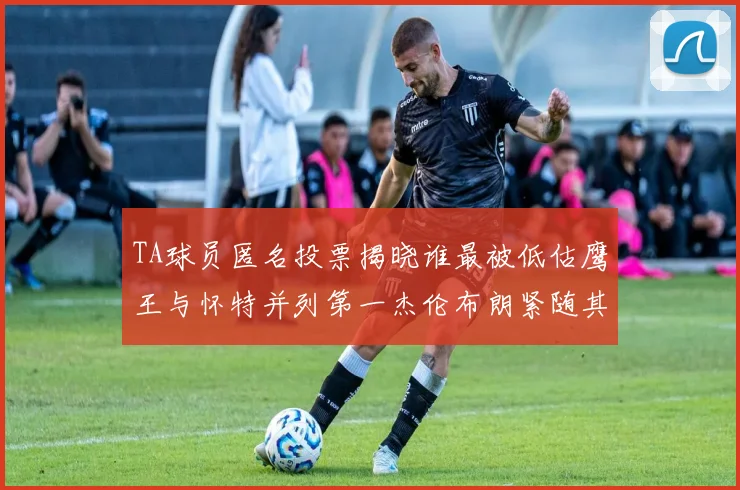 TA球员匿名投票揭晓谁最被低估鹰王与怀特并列第一杰伦布朗紧随其后